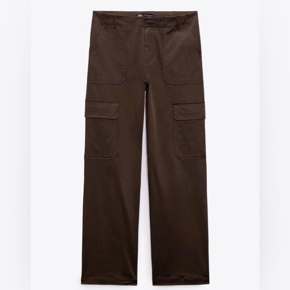 Zara Dark Brown Cargo Pants
